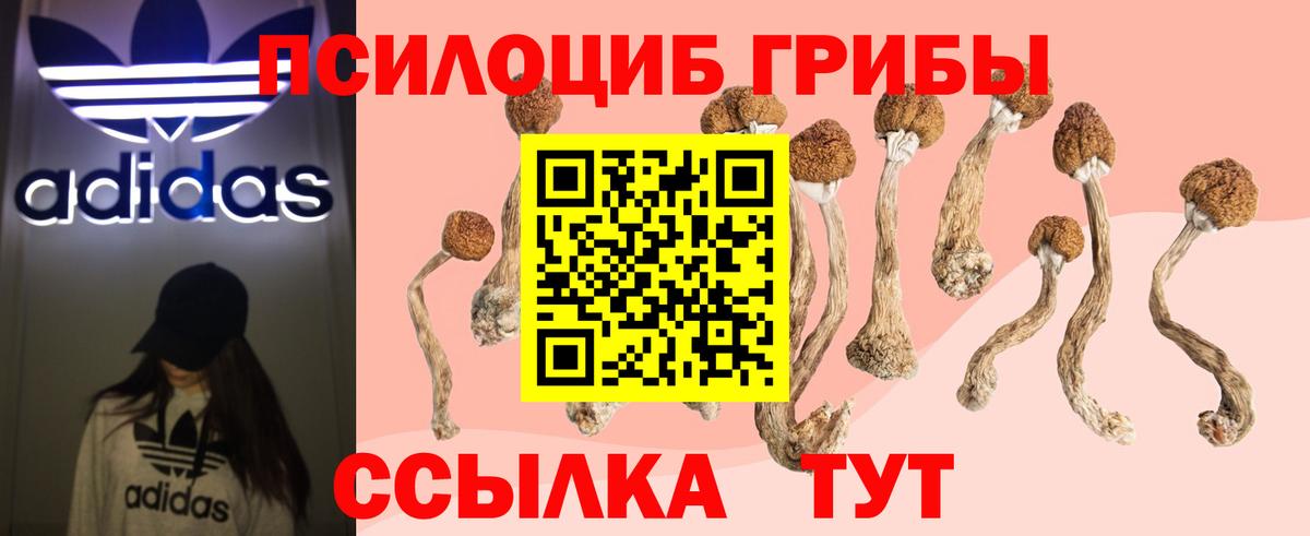 Галлюциногенные грибы GOLDEN TEACHER  Вход с VPN  наркошоп  Россошь 